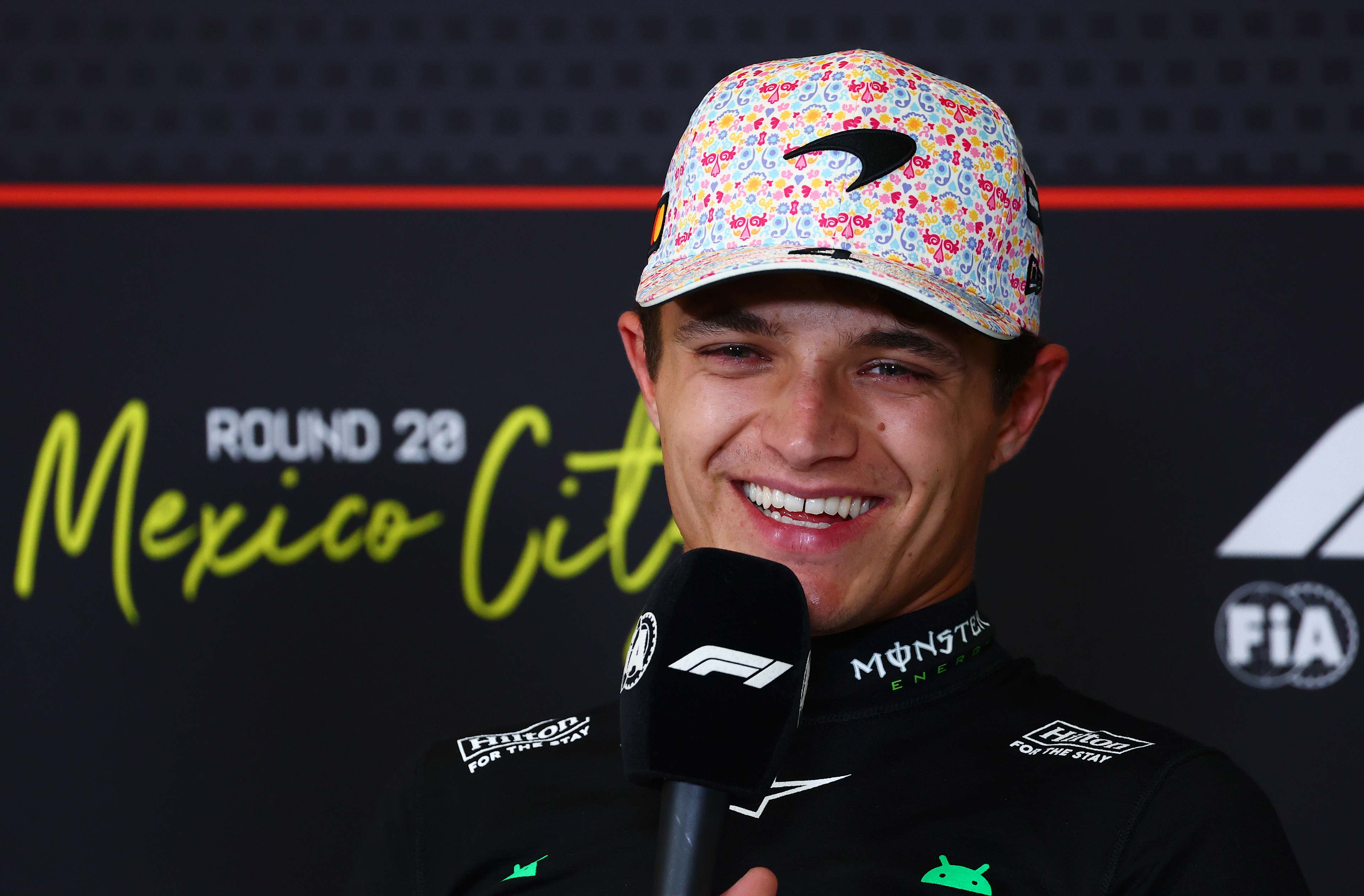 F1 13年アロンソ、リカルド、マックスチルトン F1 13年アロンソ